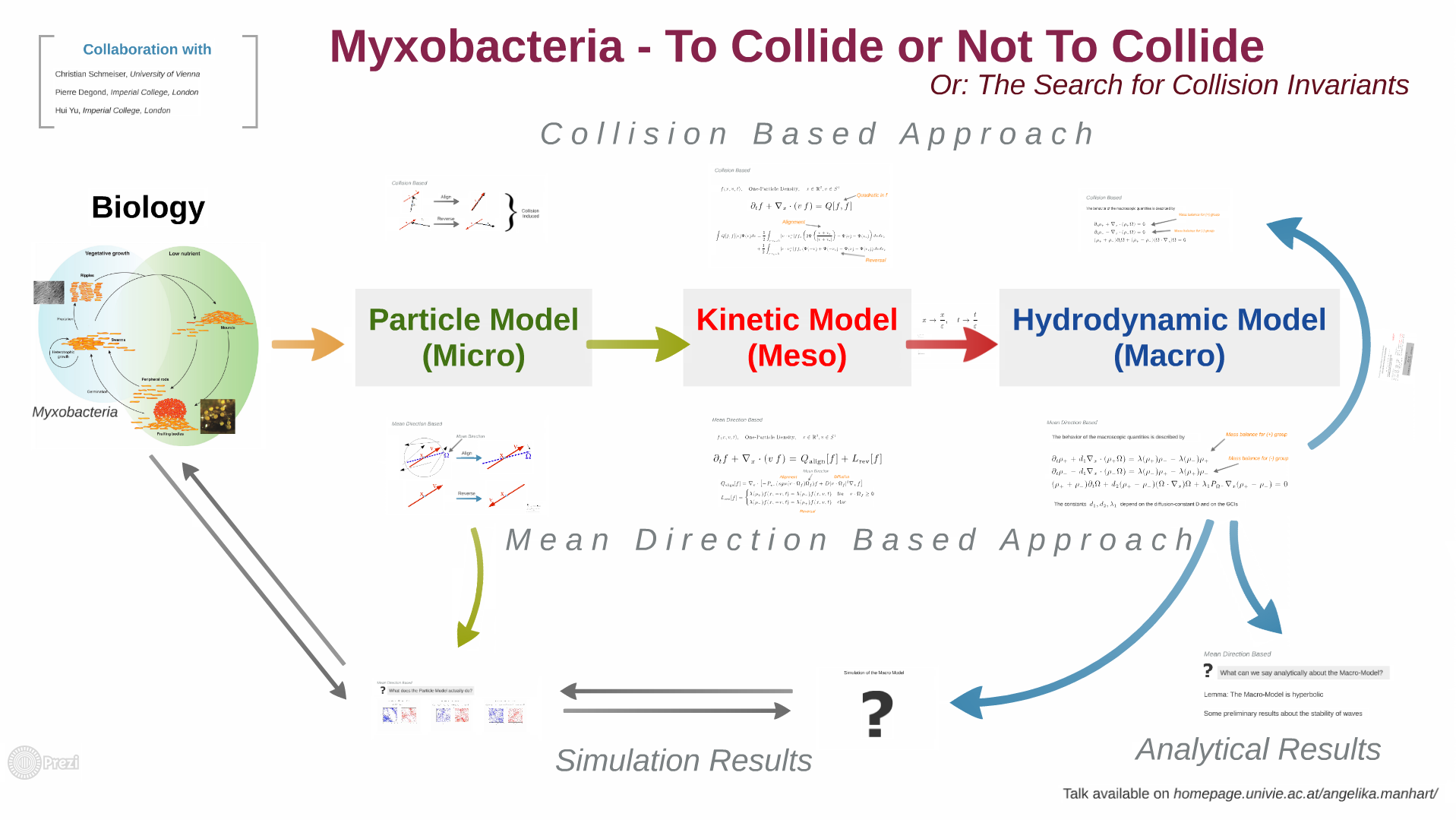 Myxobacteria - To Collide or Not To                     Collide