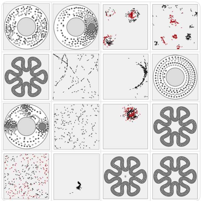 Lange Nacht der Forschung