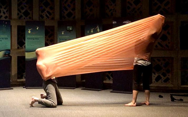 Soft Cell — How Mathematics Makes Cells Move