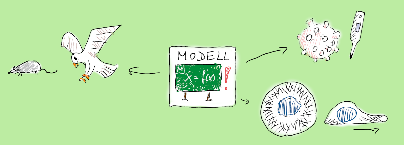 Biomathematics and Game Theory